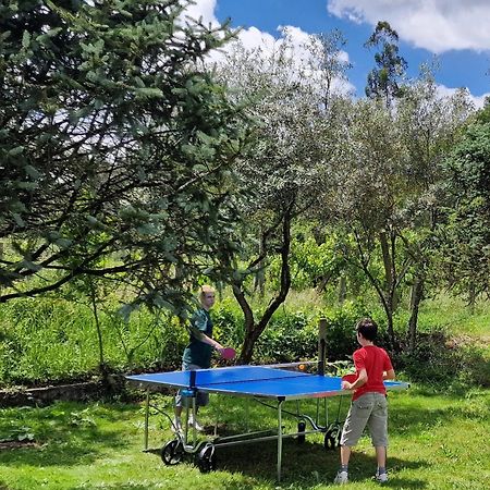 Dream Corner By Waterfalls, 20 Min To Oporto, By Porto With Love Lda Parada  Eksteriør bilde