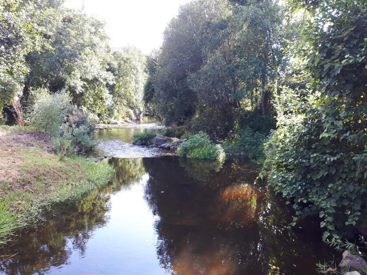 Dream Corner By Waterfalls, 20 Min To Oporto, By Porto With Love Lda Parada  Eksteriør bilde
