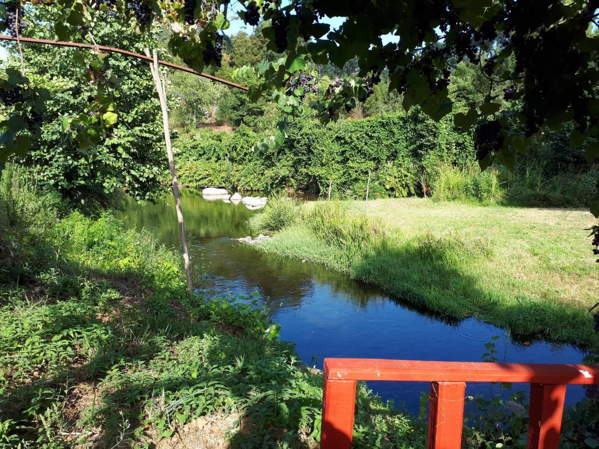 Dream Corner By Waterfalls, 20 Min To Oporto, By Porto With Love Lda Parada  Eksteriør bilde